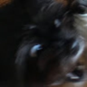 Meet your Posher, Gears